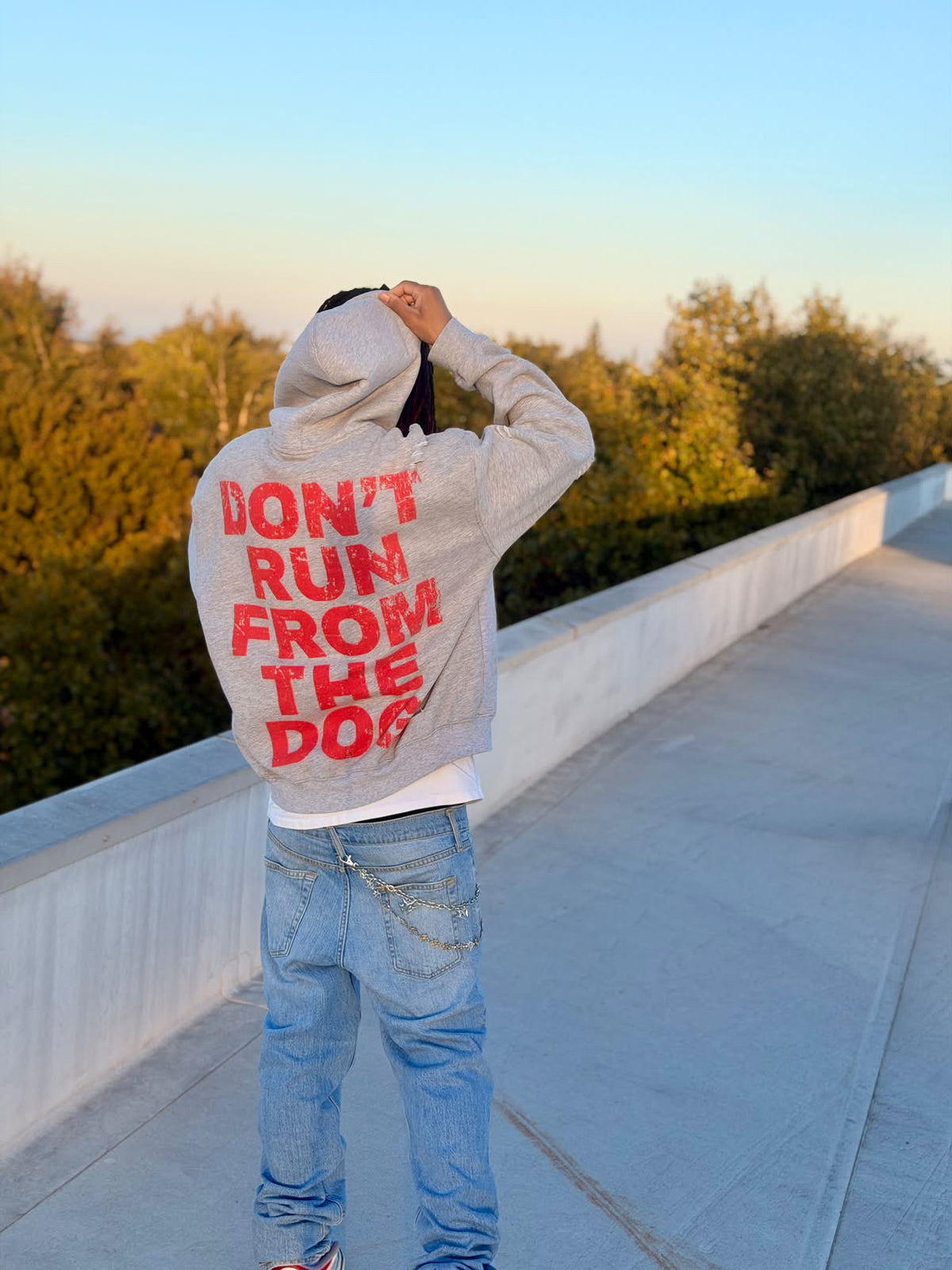 DONT RUN FROM THE DOG *PREORDER *